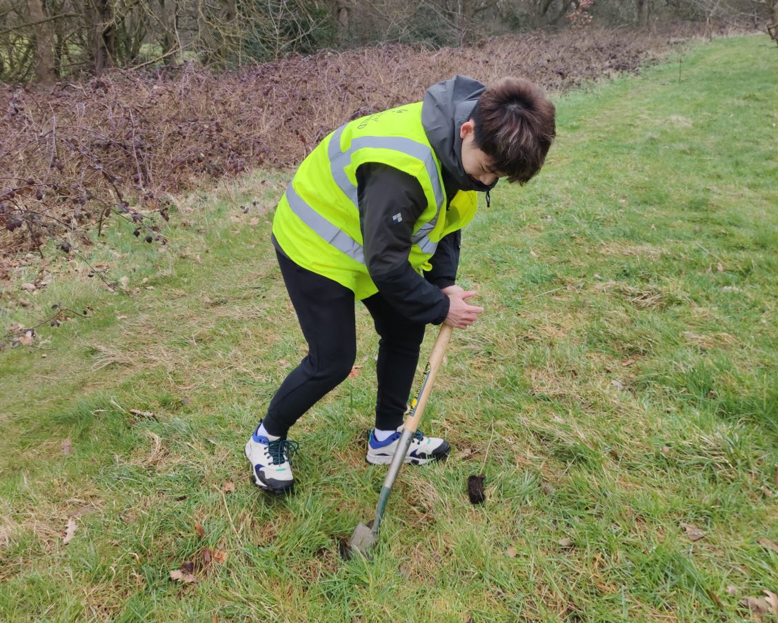 Tree planting-Student planting tree 1