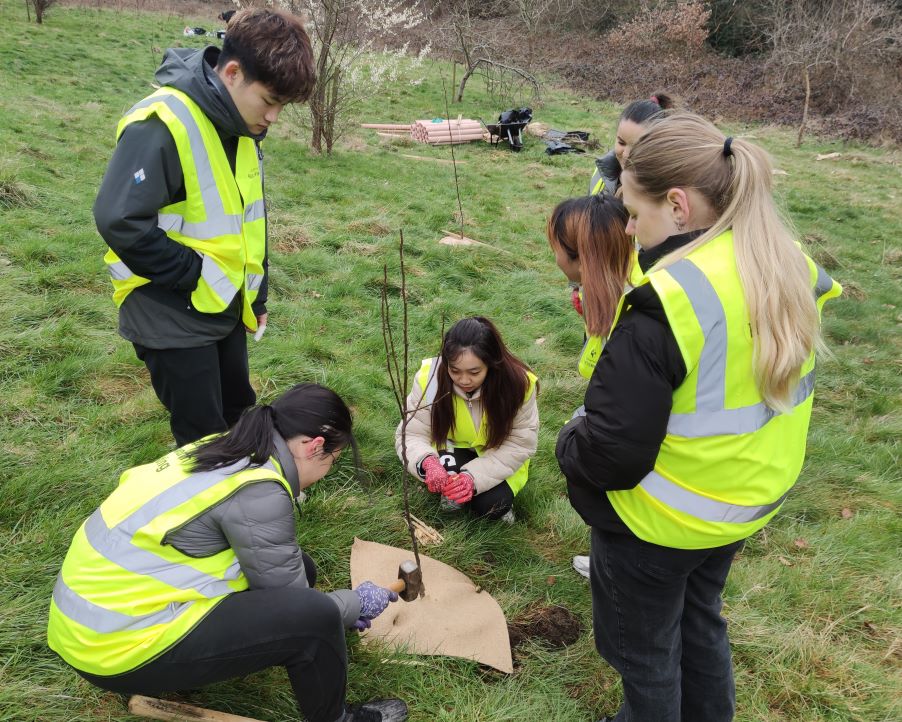 Tree planting-blanket group