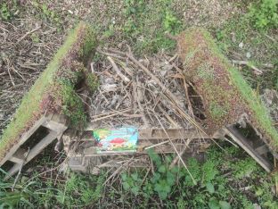 Bug Hotel 2