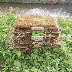 Bug hotel 1