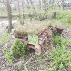 Bug Hotel 3