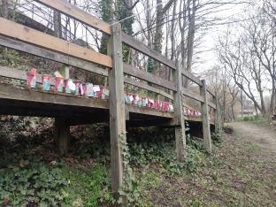 Woodland walkway