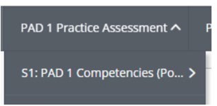 Paramedic check competencies 1