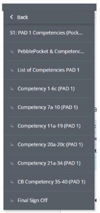 Paramedic check competencies 2